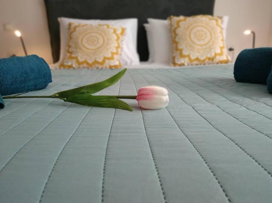 Apartmán Stelisioanna Chania  Exteriér fotografie